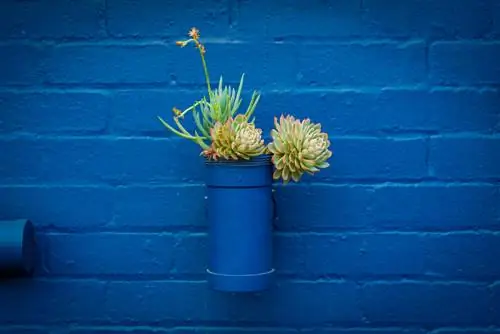 Painting the garden wall: How to give it new life