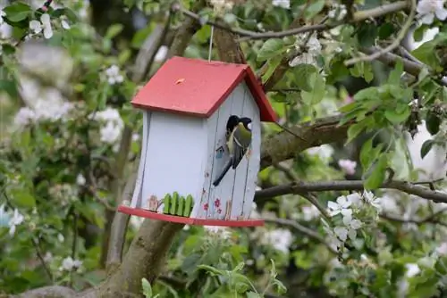 nesting box hole size