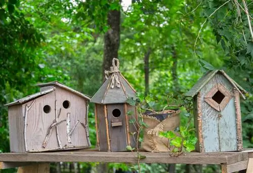 nesting box hole size