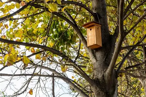 nesting box hole size