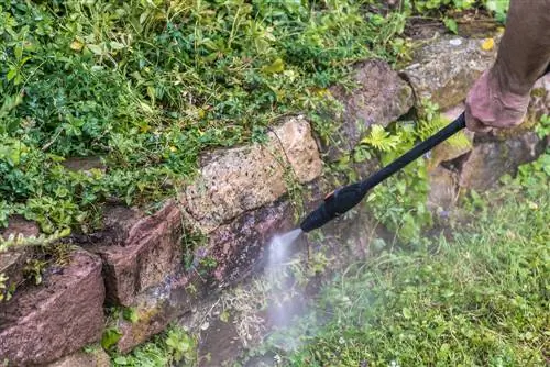 cleaning garden walls