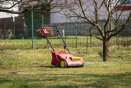 voorkoming van grasmyt