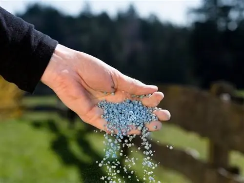 Blou kunsmis in die tuin: Die voordele en nadele verduidelik