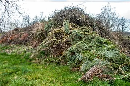 Išmeskite medžių apkarpas