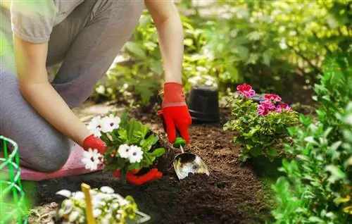 plantando flores