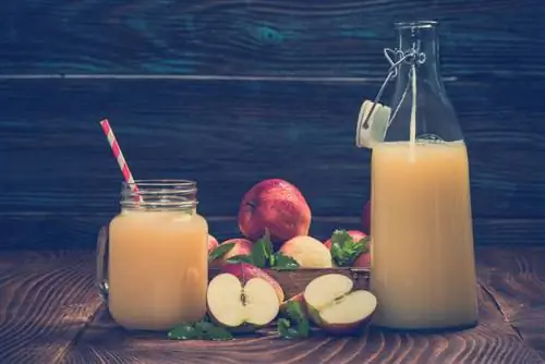 conservation du jus de pomme