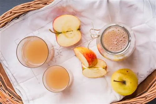 congelación de jugo de manzana