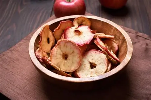 apple slices drying