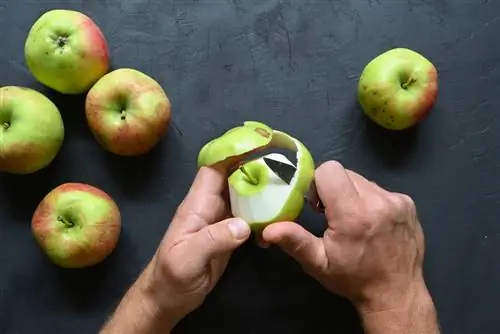 secado de cáscara de manzana