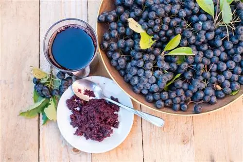 Aronia berry processing