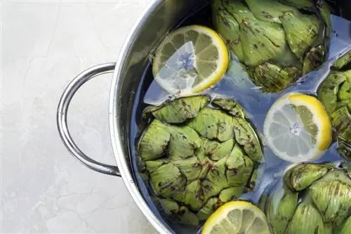 storing artichokes