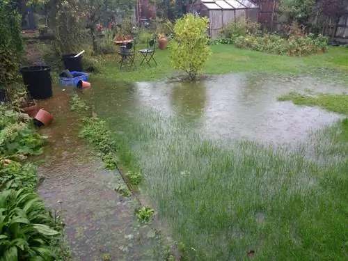 Mengeringkan tanah: langkah demi langkah menuju drainase yang optimal