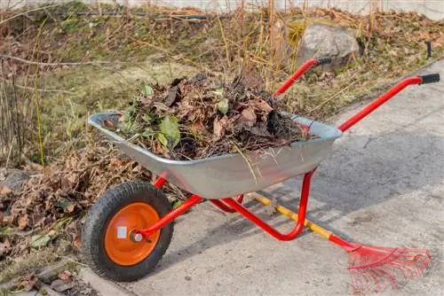 Stagione del giardinaggio di marzo: come iniziare con successo l'anno del giardinaggio