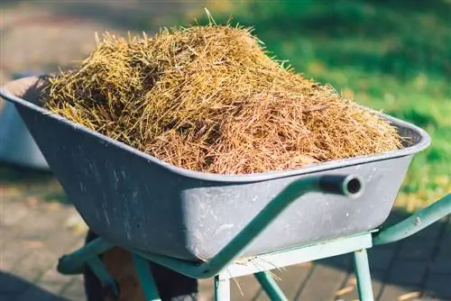 composting pine needles