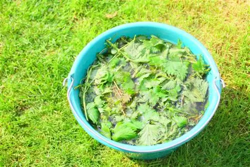 Prepare nettle stock