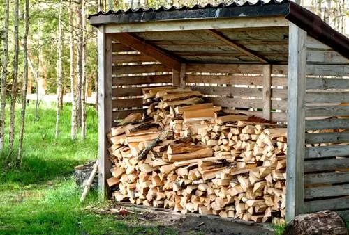 Proper drying of firewood: storage & duration