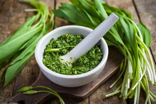 Congelar la pasta de ajo silvestre: así se conserva el sabor