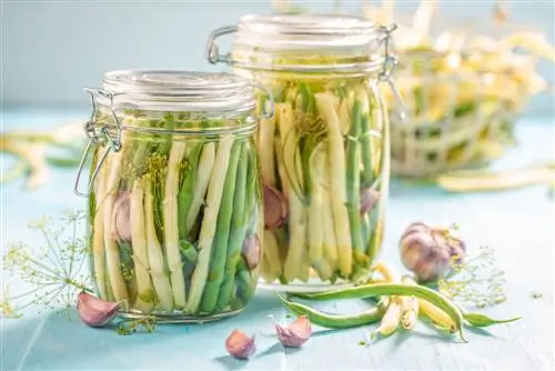 Canning bush beans: This makes canning easy