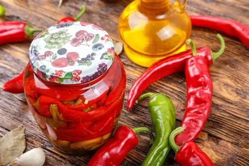 Pickling chili peppers: Delicious recipes to try