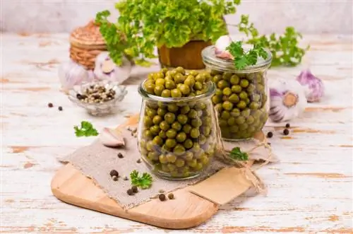 peas-canning