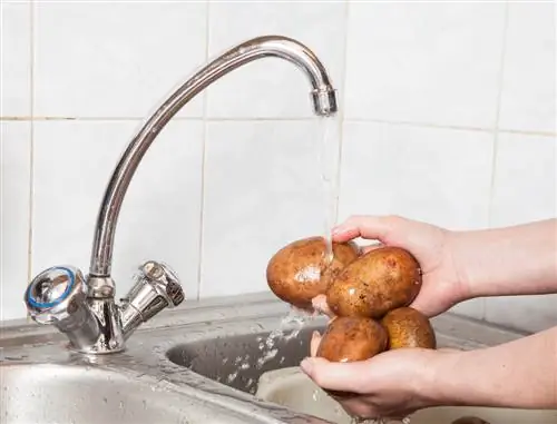 Aardappelen wassen: de beste methoden voor schone knollen