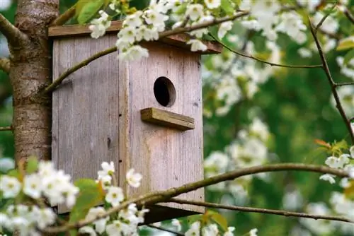 vogelhuisje hangen