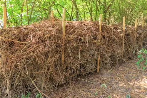 Construyendo un seto Benje: Cómo crear un hábitat para los animales