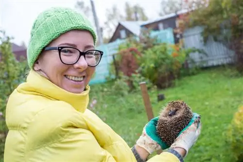 liberare i ricci in natura