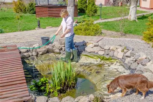 Oasis bercahaya: perawatan musim semi untuk kolam taman Anda