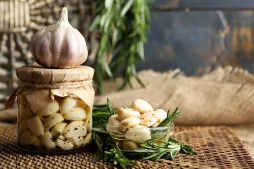 Memelihara bawang putih: Dengan cara ini aromanya dikekalkan untuk jangka masa yang lama