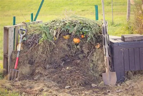 Accelerare il compost: metodi e consigli naturali