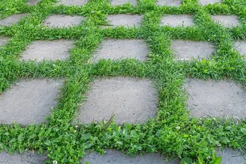 Paving joints-greening