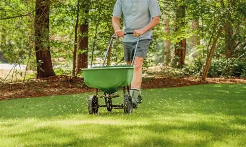 Apply lawn fertilizer: Tips for he althy & lush green