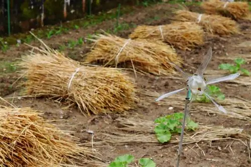 Créez votre propre peur des campagnols : méthodes et idées efficaces