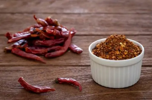 Grinding chili peppers: The best methods and tips