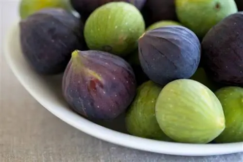 Laisser mûrir les figues : est-ce possible ?