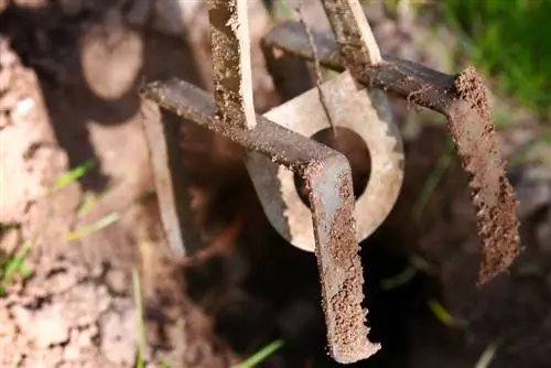 Problema amb campanyola? Combat eficaçment amb una trampa de pinça