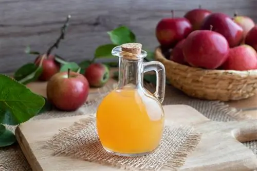 apple cider