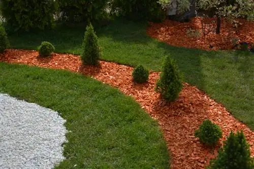 Use bark mulch correctly: path surface, soil protection & more