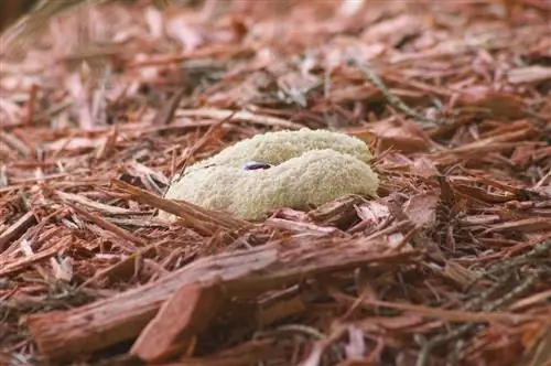 cetakan mulsa kulit kayu