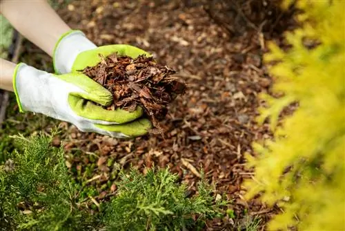 Combining mulch and fleece: How much bark mulch is necessary?