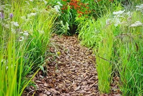 bark mulch thickness