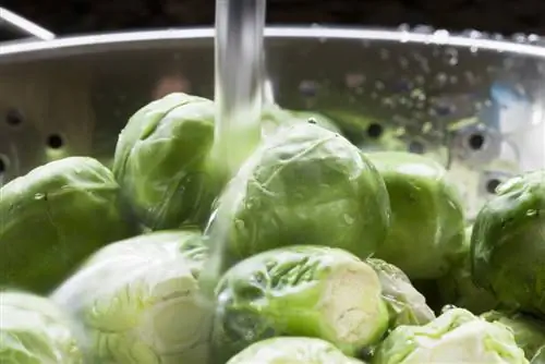 Wash Brussels sprouts