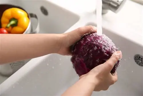 Wash and prepare red cabbage properly: This is how it works