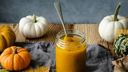 Cucinare la purea di zucca: ecco come conservare le verdure autunnali