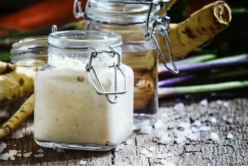 Keeping horseradish fresh: freezing, pickling and more