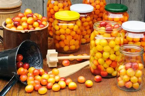 Nấu món mirabelle compote: Đây là một cách dễ dàng và ngon miệng