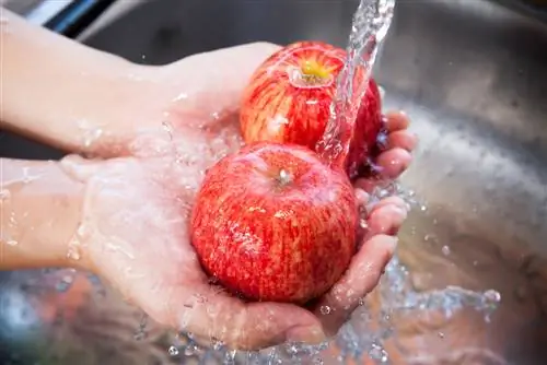 lavage des fruits