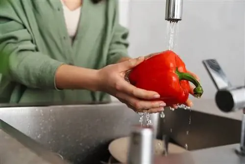 Tvätta paprika: steg för steg för att rengöra paprika