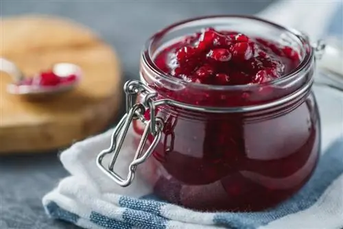 κονσέρβες cranberry